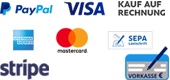 Paypal, VISA, Kauf auf Rechnung, Mastercard, SEPA, stripe, Klarna, Vorkasse